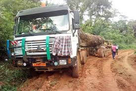 Centrafrique : Un grumier de la Société Timberland a causé la mort près de Berbérati